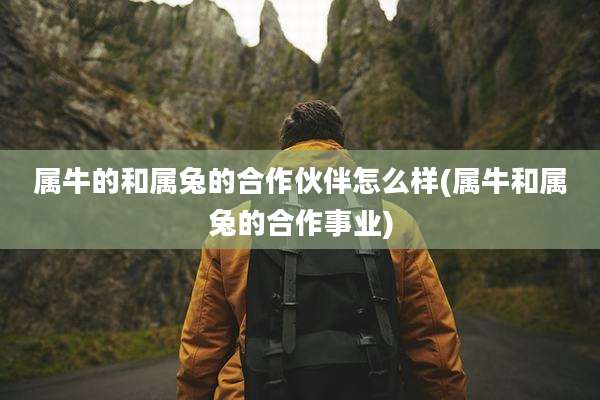 属牛的和属兔的合作伙伴怎么样(属牛和属兔的合作事业)