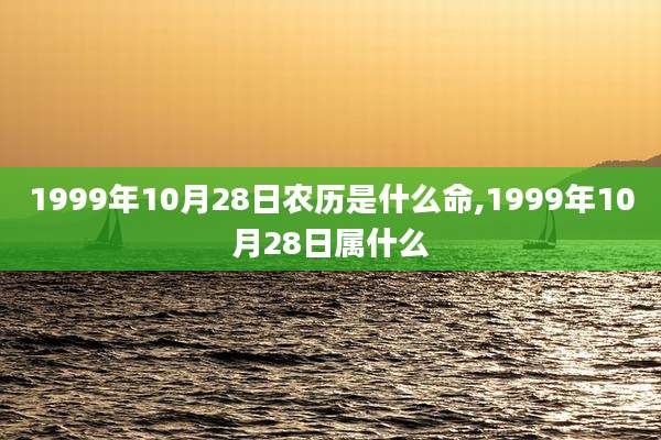 1999年10月28日农历是什么命,1999年10月28日属什么