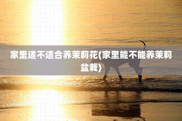家里适不适合养茉莉花(家里能不能养茉莉盆栽)