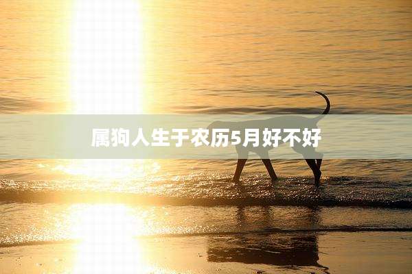 属狗人生于农历5月好不好