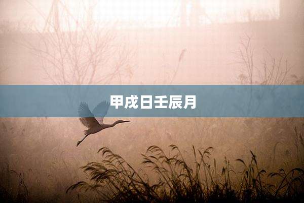 甲戌日壬辰月
