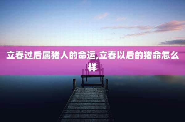 立春过后属猪人的命运,立春以后的猪命怎么样