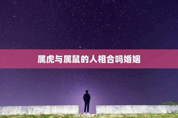 属虎与属鼠的人相合吗婚姻