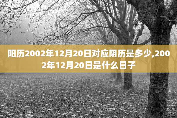 阳历2002年12月20日对应阴历是多少,2002年12月20日是什么日子