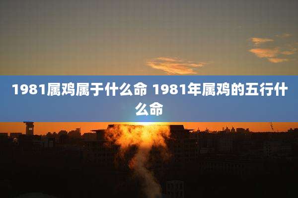 1981属鸡属于什么命 1981年属鸡的五行什么命