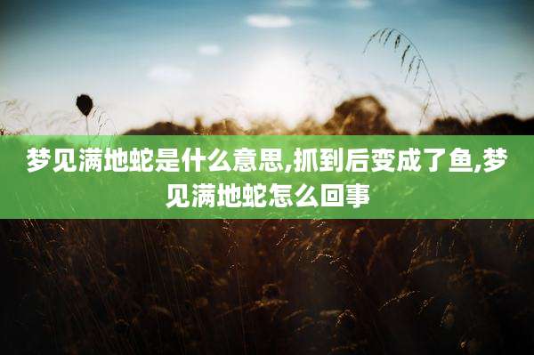 梦见满地蛇是什么意思,抓到后变成了鱼,梦见满地蛇怎么回事