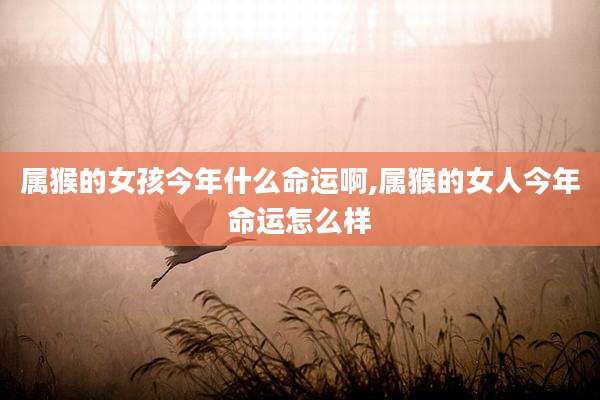 属猴的女孩今年什么命运啊,属猴的女人今年命运怎么样