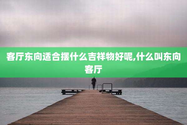 客厅东向适合摆什么吉祥物好呢,什么叫东向客厅