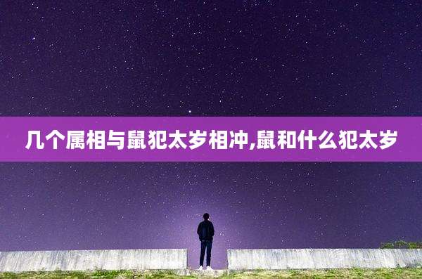 几个属相与鼠犯太岁相冲,鼠和什么犯太岁