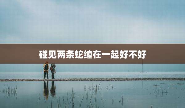 碰见两条蛇缠在一起好不好