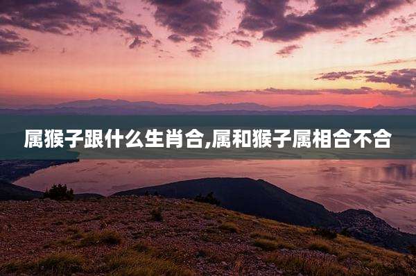 属猴子跟什么生肖合,属和猴子属相合不合