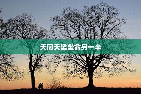 天同天梁坐命另一半