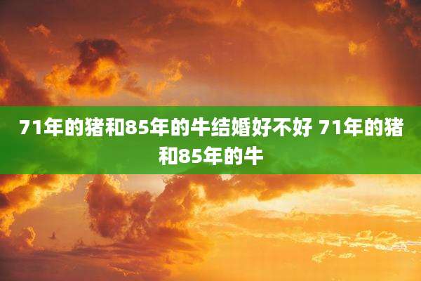 71年的猪和85年的牛结婚好不好 71年的猪和85年的牛
