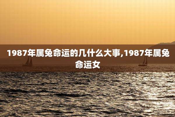 1987年属兔命运的几什么大事,1987年属兔命运女