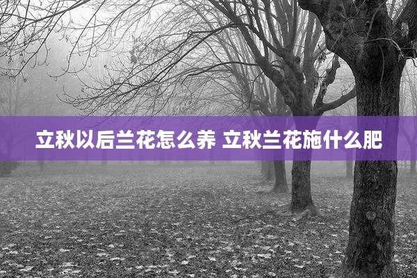 立秋以后兰花怎么养 立秋兰花施什么肥