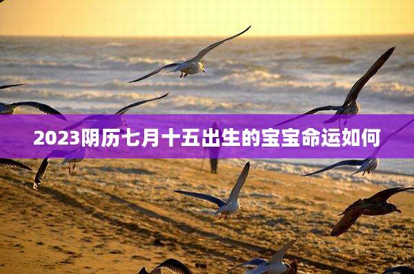 2023阴历七月十五出生的宝宝命运如何