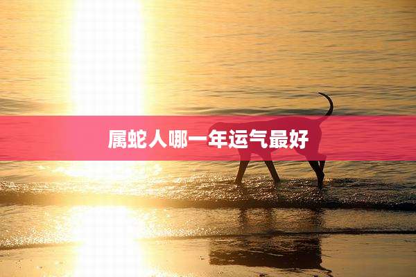 属蛇人哪一年运气最好