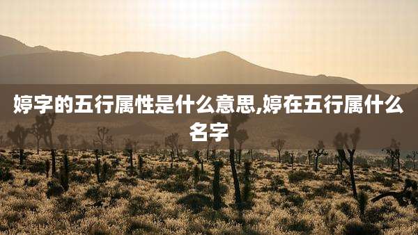 婷字的五行属性是什么意思,婷在五行属什么名字