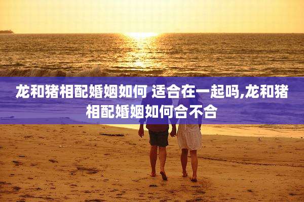 龙和猪相配婚姻如何 适合在一起吗,龙和猪相配婚姻如何合不合