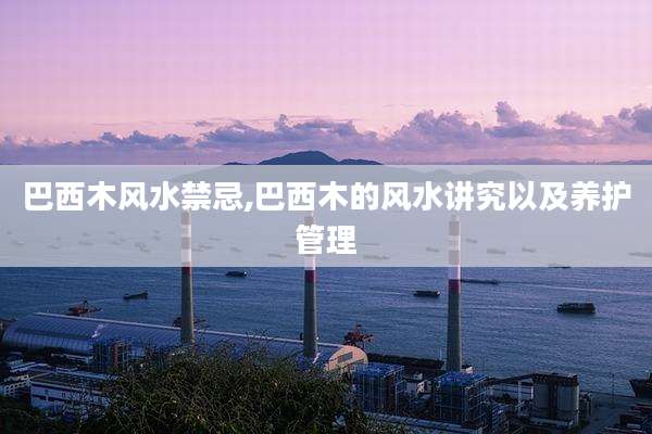 巴西木风水禁忌,巴西木的风水讲究以及养护管理