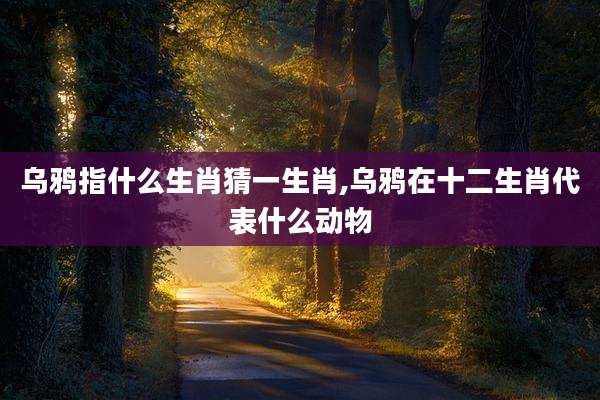 乌鸦指什么生肖猜一生肖,乌鸦在十二生肖代表什么动物
