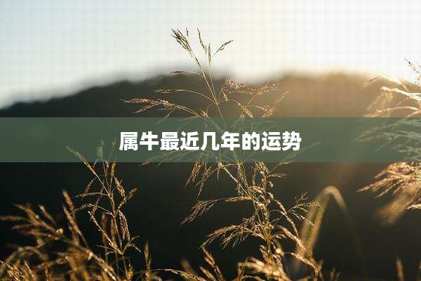 属牛最近几年的运势