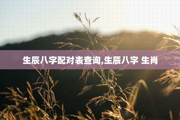 生辰八字配对表查询,生辰八字 生肖
