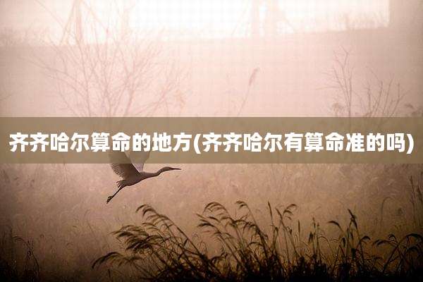 齐齐哈尔算命的地方(齐齐哈尔有算命准的吗)