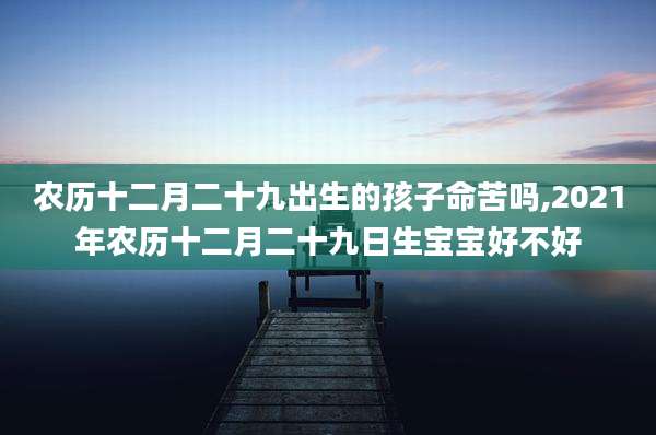 农历十二月二十九出生的孩子命苦吗,2021年农历十二月二十九日生宝宝好不好