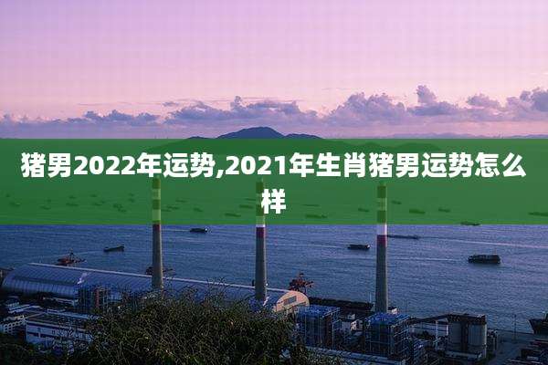 猪男2022年运势,2021年生肖猪男运势怎么样