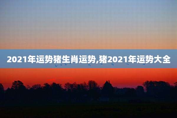 2021年运势猪生肖运势,猪2021年运势大全