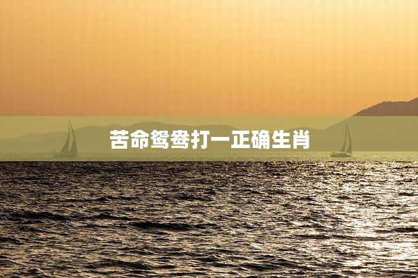 苦命鸳鸯打一正确生肖