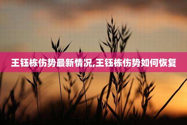 王钰栋伤势最新情况,王钰栋伤势如何恢复