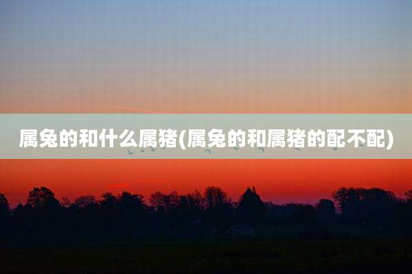 属兔的和什么属猪(属兔的和属猪的配不配)