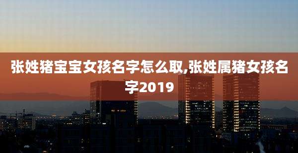 张姓猪宝宝女孩名字怎么取,张姓属猪女孩名字2019