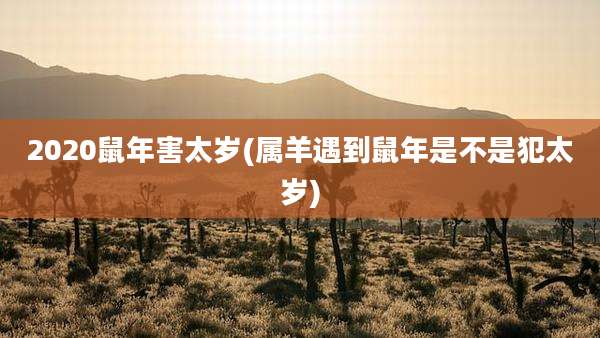 2020鼠年害太岁(属羊遇到鼠年是不是犯太岁)