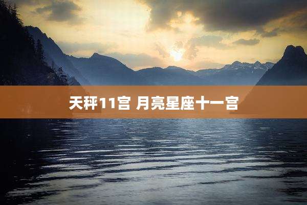 天秤11宫 月亮星座十一宫