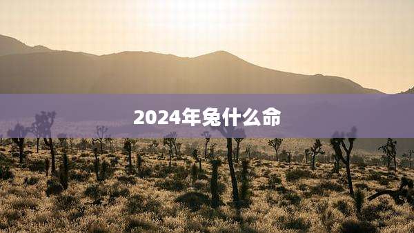 2024年兔什么命