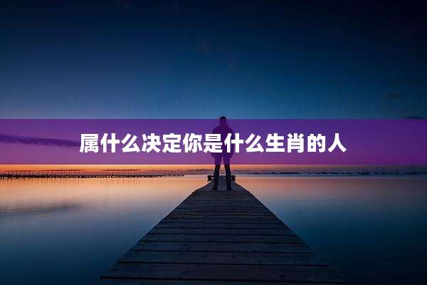 属什么决定你是什么生肖的人