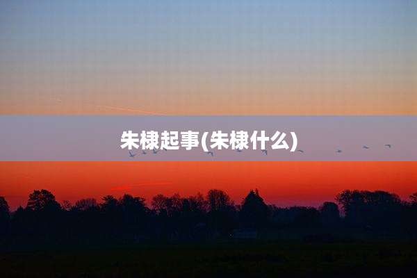 朱棣起事(朱棣什么)