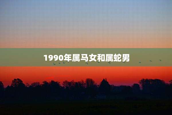 1990年属马女和属蛇男