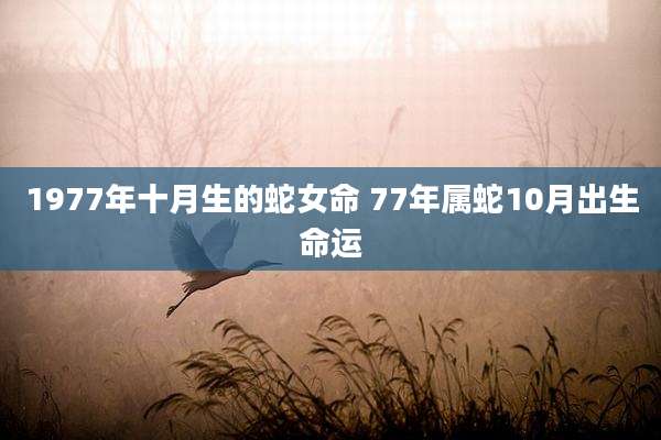 1977年十月生的蛇女命 77年属蛇10月出生命运