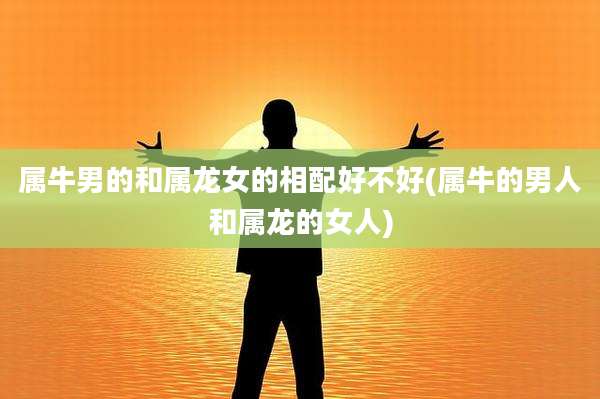 属牛男的和属龙女的相配好不好(属牛的男人和属龙的女人)