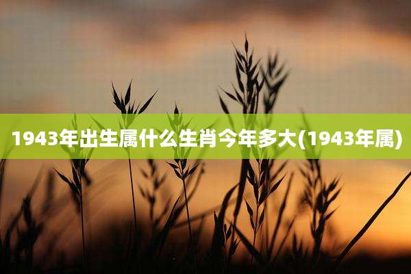 1943年出生属什么生肖今年多大(1943年属)