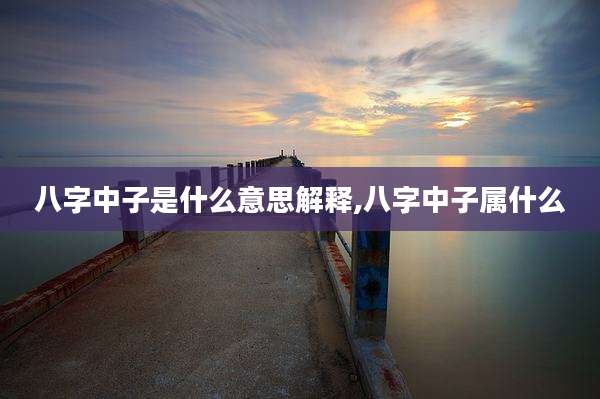 八字中子是什么意思解释,八字中子属什么