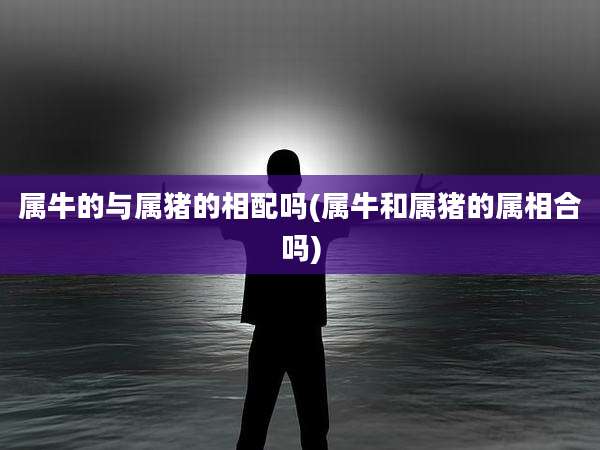 属牛的与属猪的相配吗(属牛和属猪的属相合吗)