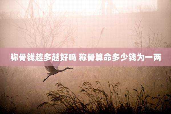 称骨钱越多越好吗 称骨算命多少钱为一两