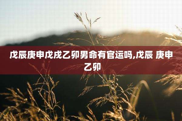 戊辰庚申戊戌乙卯男命有官运吗,戊辰 庚申 乙卯