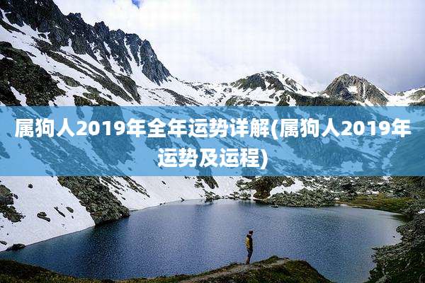 属狗人2019年全年运势详解(属狗人2019年运势及运程)
