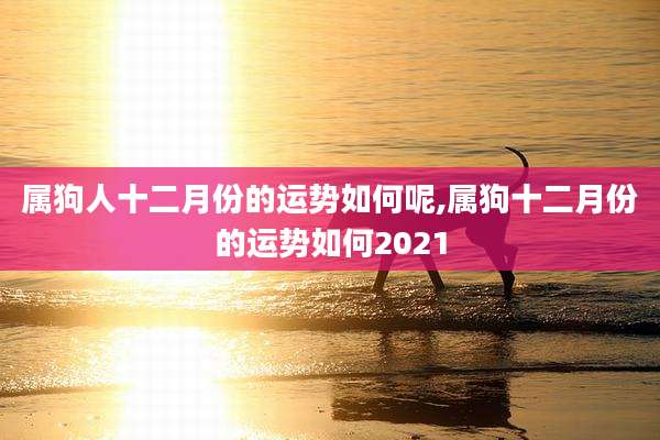 属狗人十二月份的运势如何呢,属狗十二月份的运势如何2021
